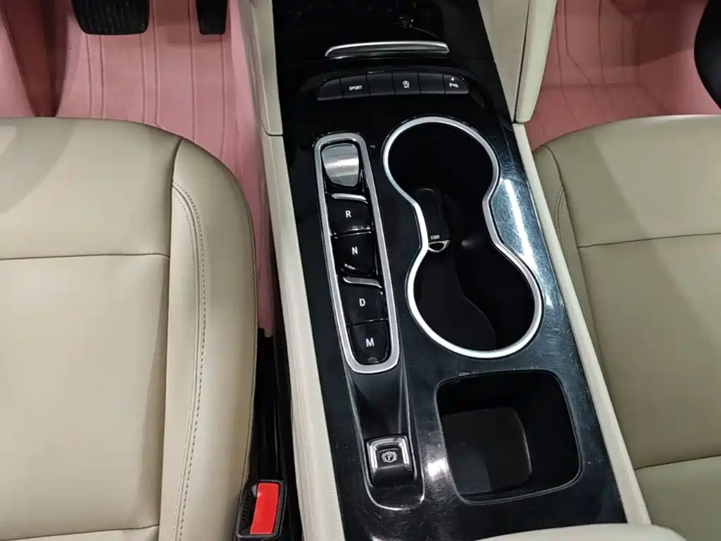 Buick Regal — миниатюра 14