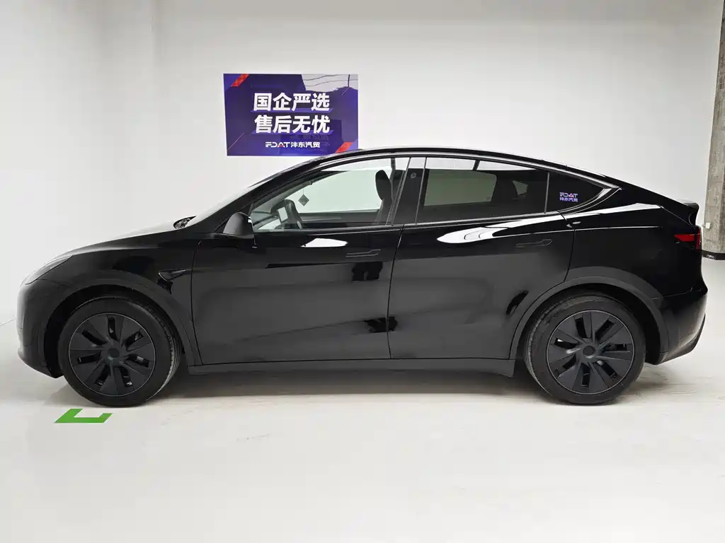 Tesla Model Y — миниатюра 9