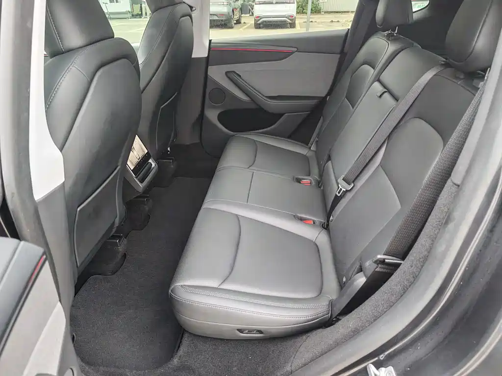 Tesla Model Y — миниатюра 8