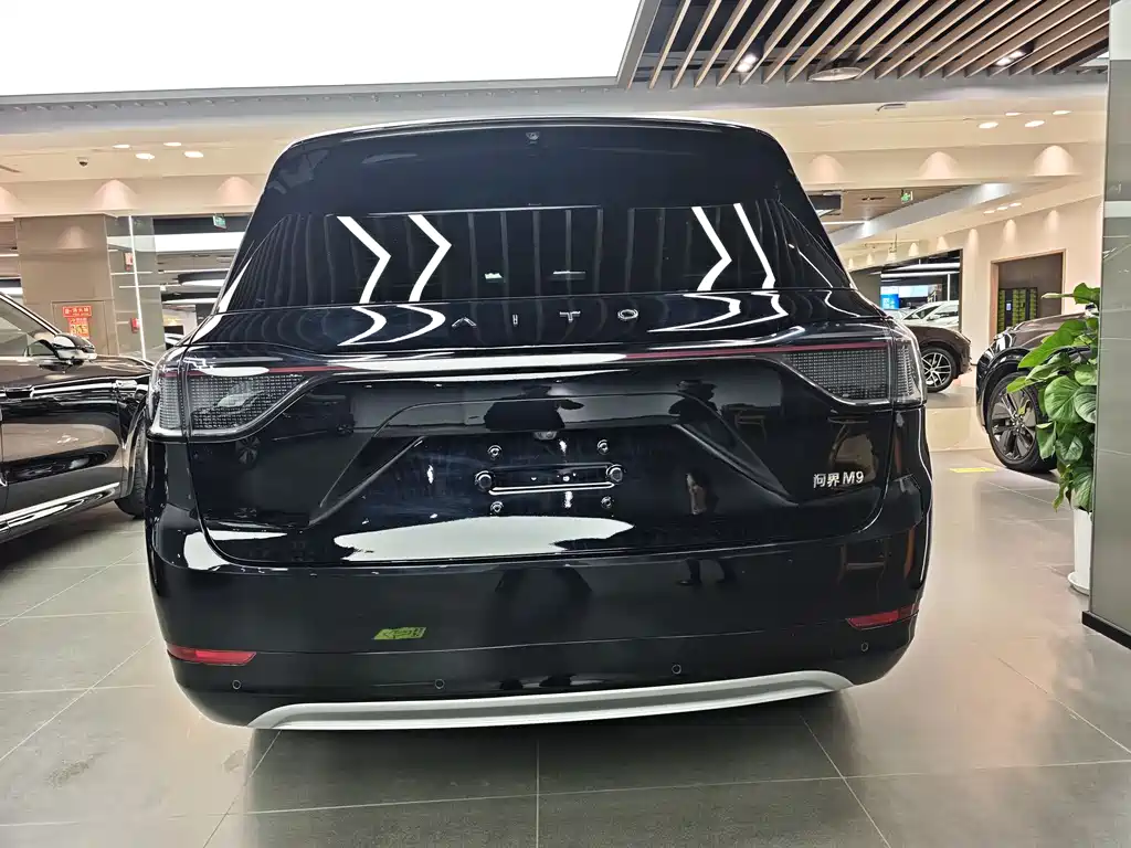 AITO ASK THE WORLD M9