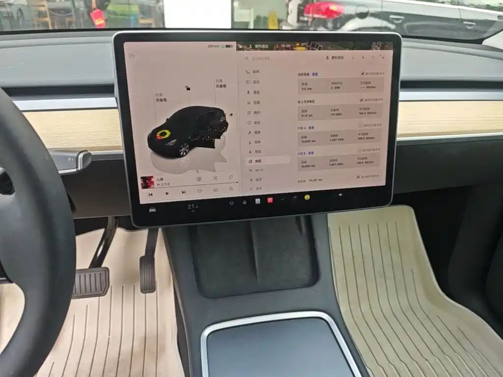 Tesla Model Y — миниатюра 13