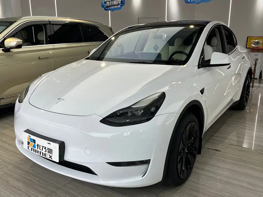 Tesla Model Y — миниатюра 4