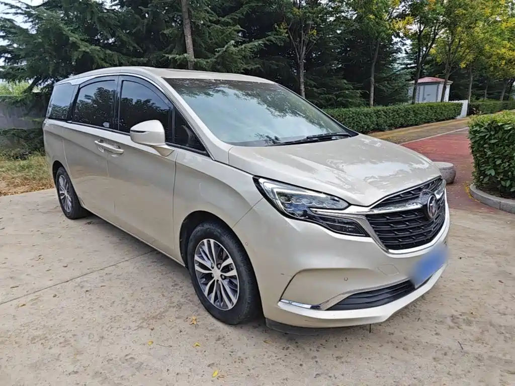 Buick GL8 — миниатюра 4