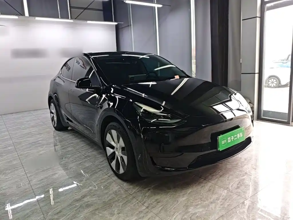Tesla Model Y — миниатюра 4