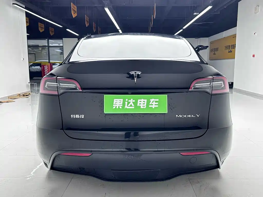Tesla Model Y — миниатюра 5