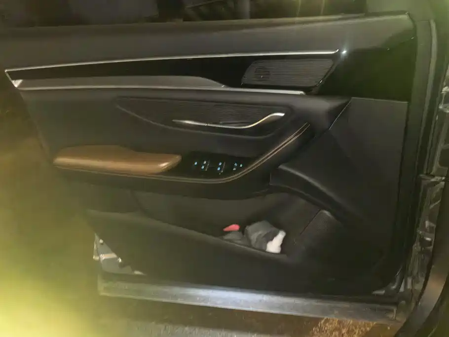 BYD PLUS — миниатюра 7