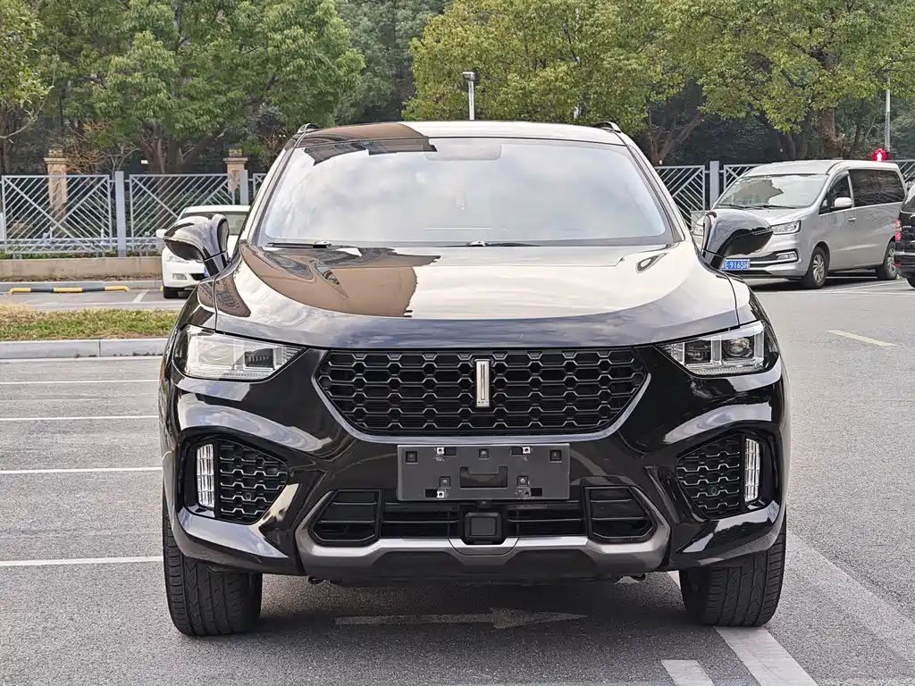 WEI PAI WEI BRAND VV5