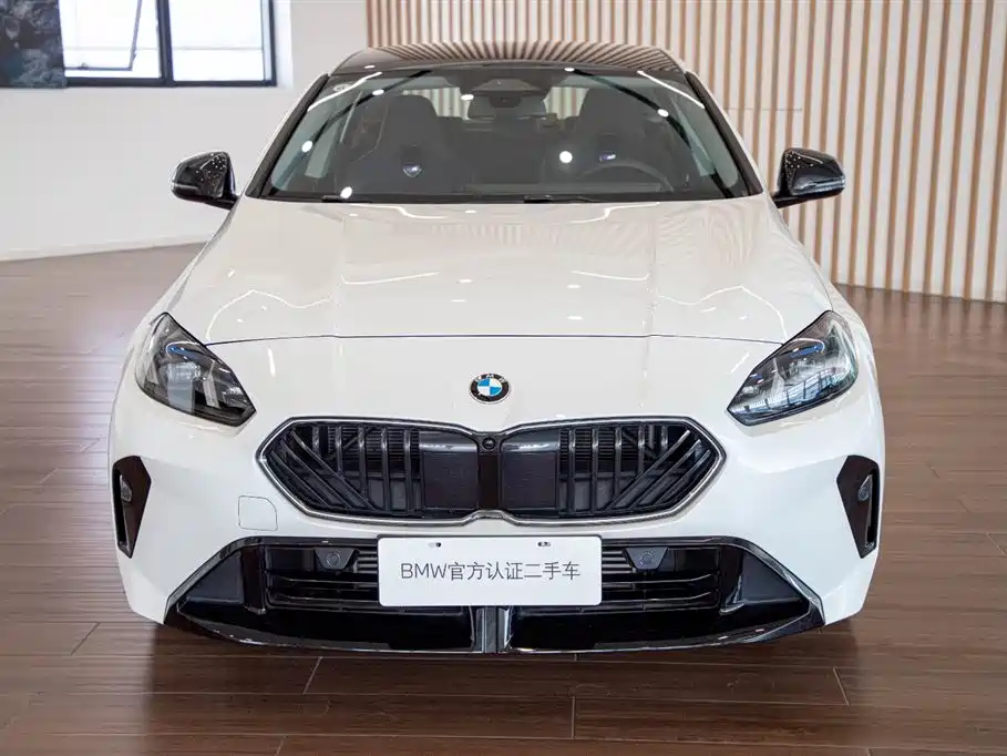 BMW 2 Series — миниатюра 3