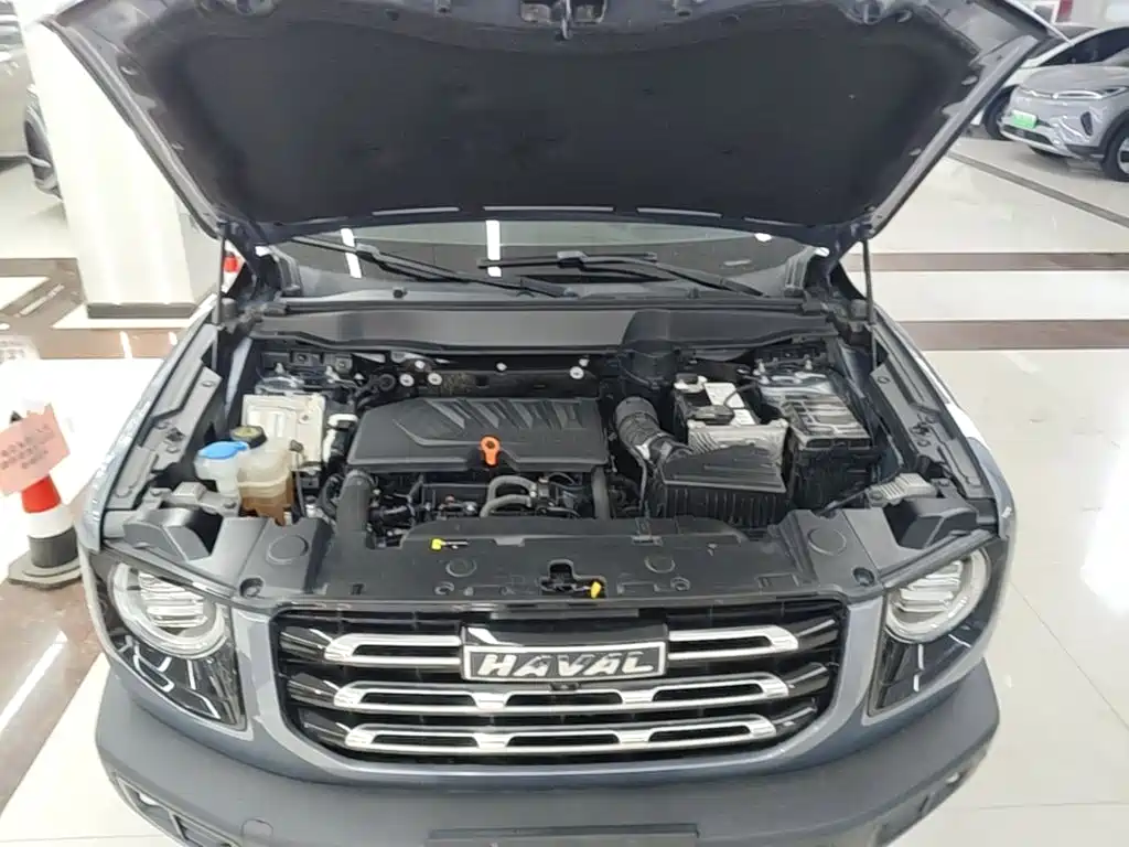 Haval Big Dog — миниатюра 20