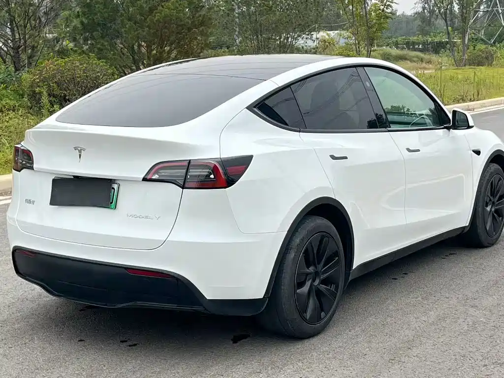 Tesla Model Y — миниатюра 7