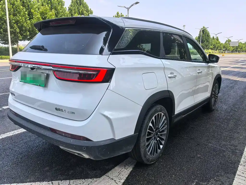 Shanhai Shanhai L9 — миниатюра 4