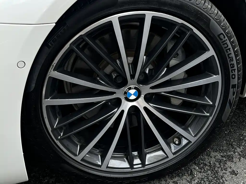 BMW 5 Series 5 2019 530Li Lead M Sport