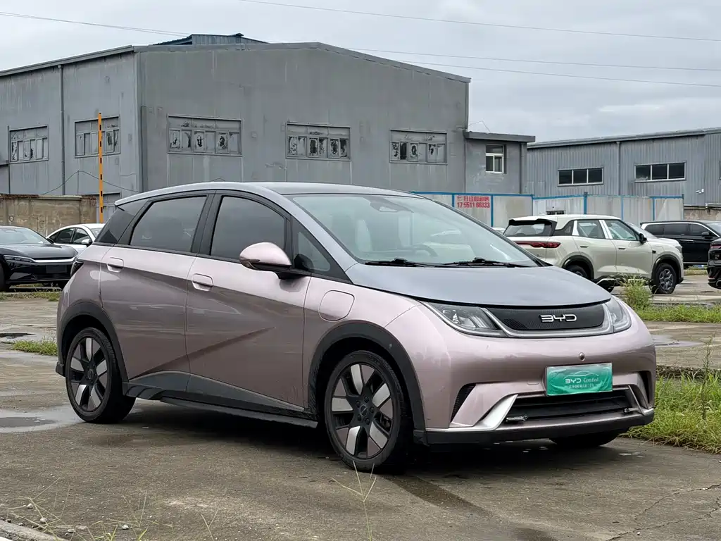BYD Dolphin — миниатюра 3
