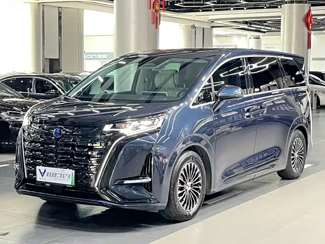 Denza D9