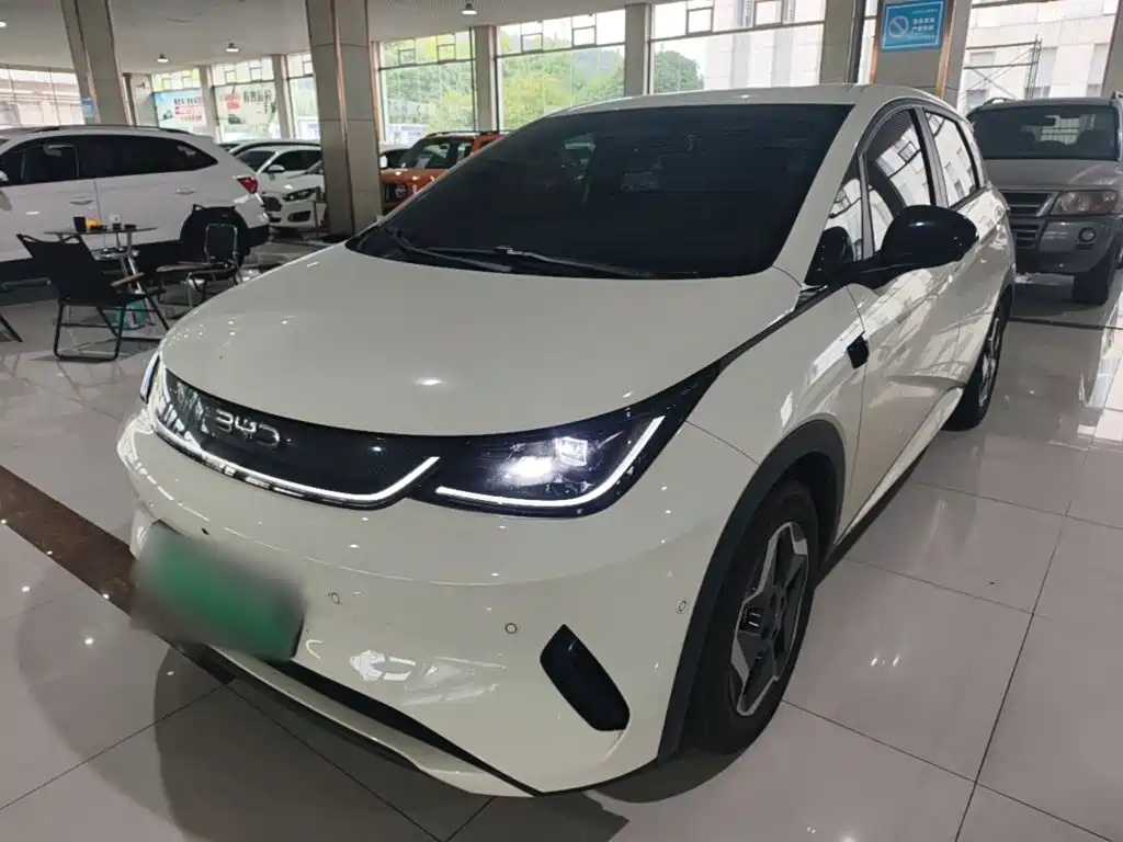 BYD Dolphin — миниатюра 2