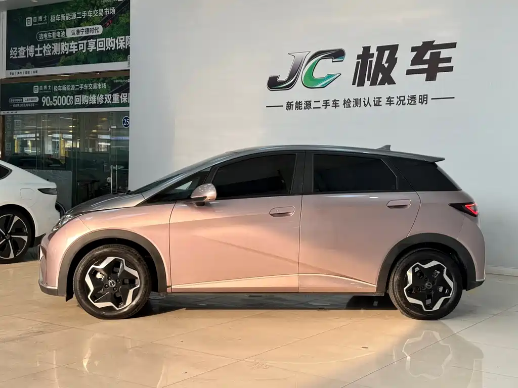 BYD Dolphin — миниатюра 2