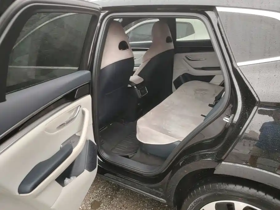 BYD PLUS New Energy — миниатюра 11