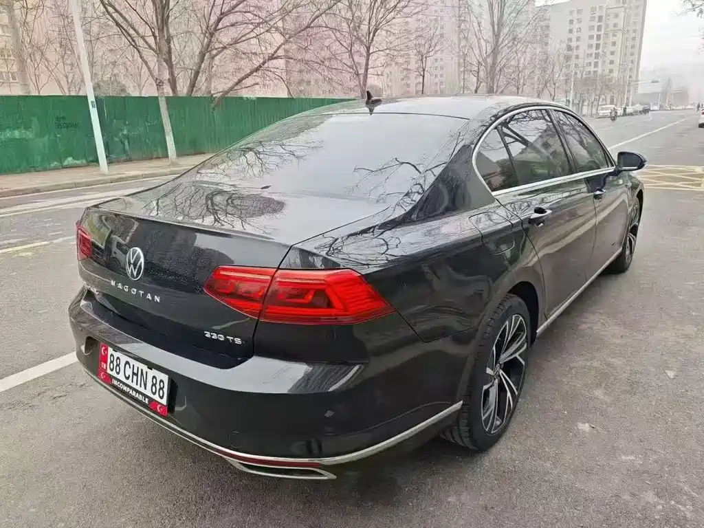 Volkswagen Magotan 2020 330TSI DSG Luxury