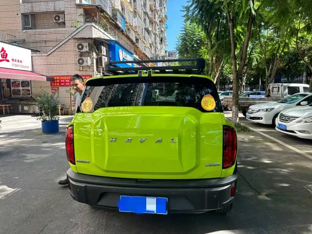 Haval Cool Dog — миниатюра 3