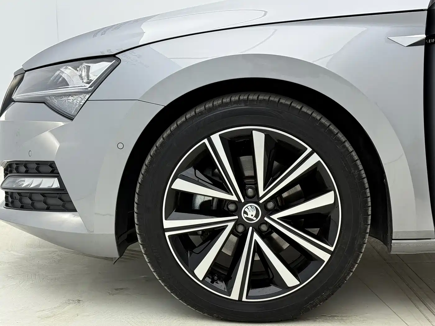 Skoda Speed pie id 4583722 из Китая 8