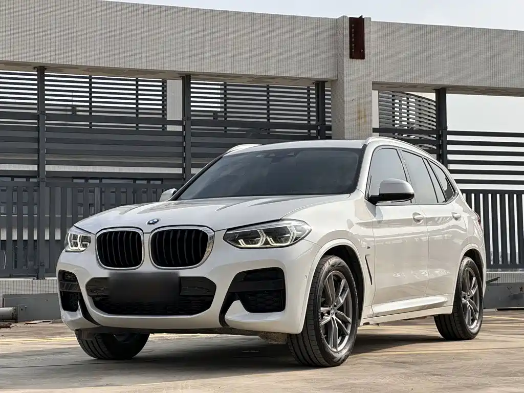 BMW X3 — миниатюра 2