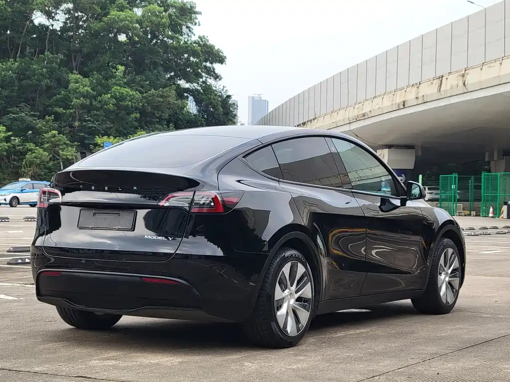 Tesla Model Y — миниатюра 10