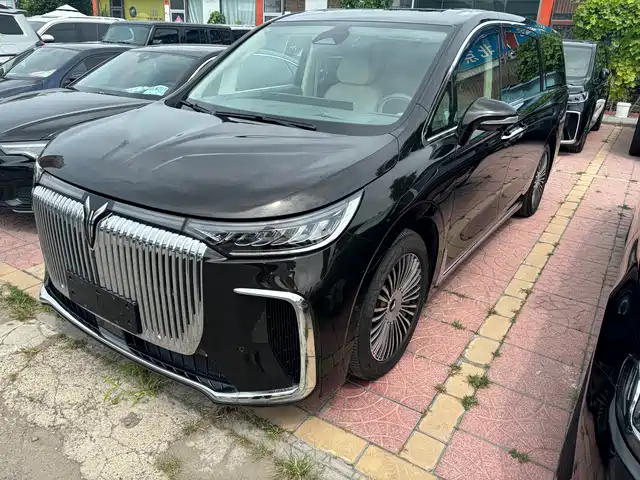 2024 Voyah Dream