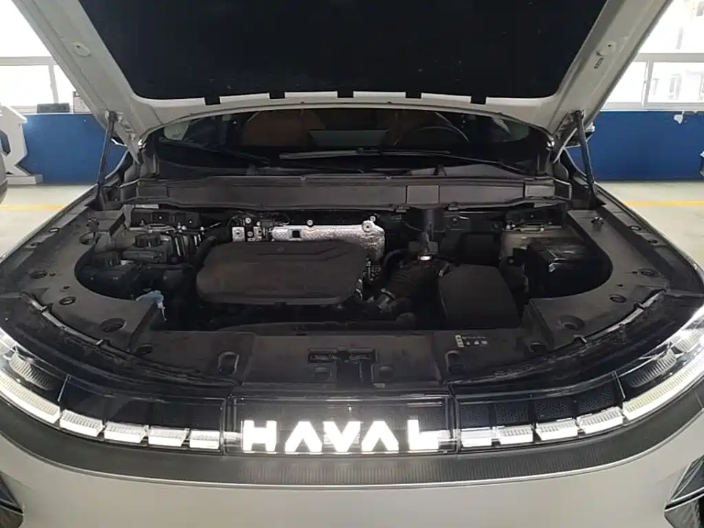Haval Xiaolong MAX — миниатюра 25
