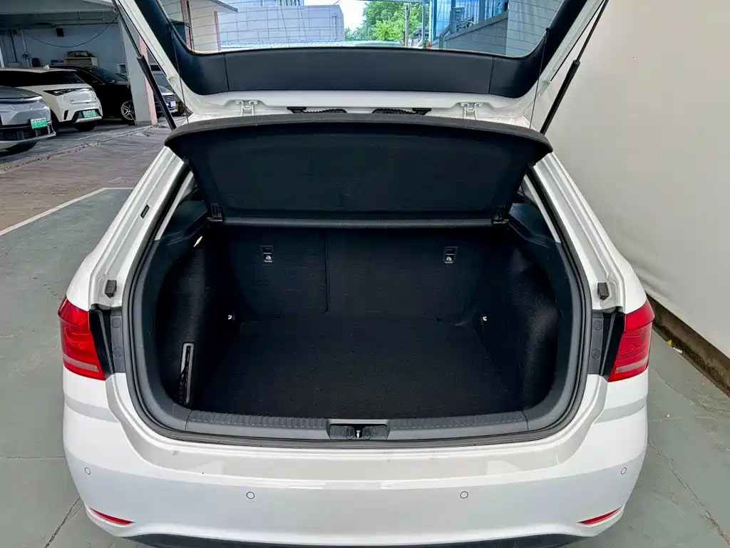 Volkswagen Gran Lavida — миниатюра 16