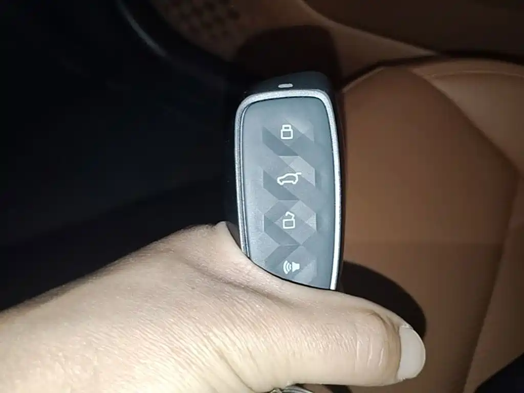 Haval Xiaolong MAX — миниатюра 13