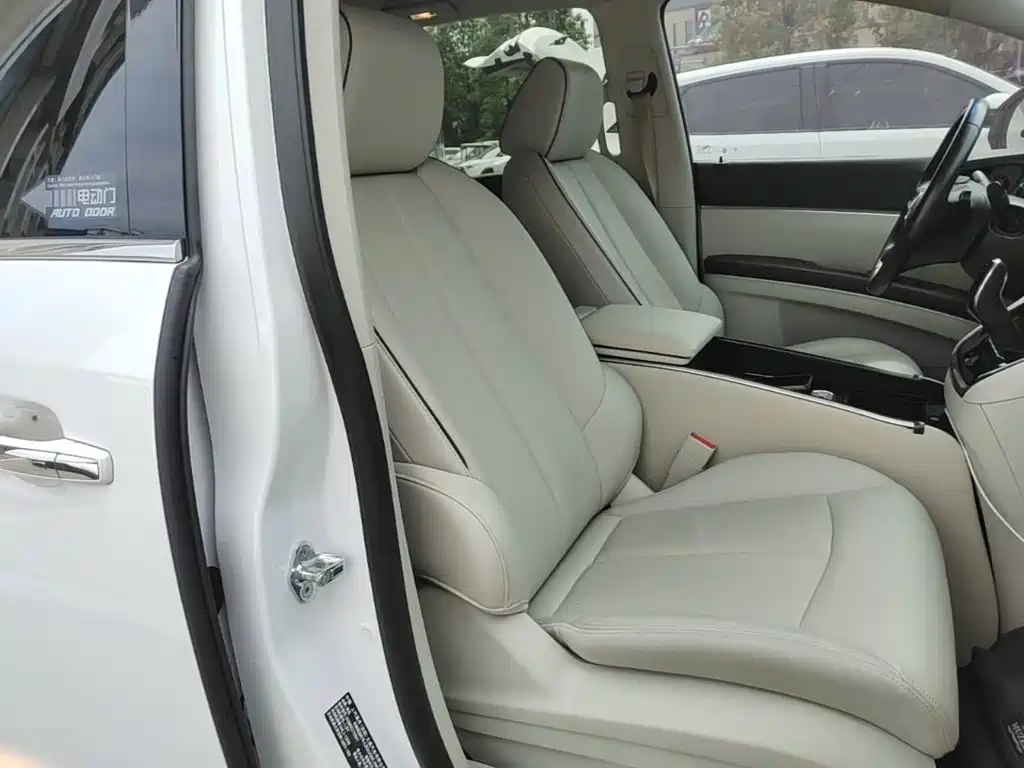 Buick GL8 — миниатюра 25