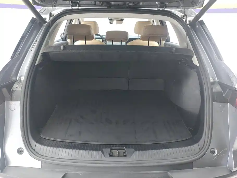 BYD Pro New Energy — миниатюра 4