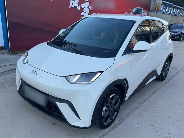 2025 BYD Seagull