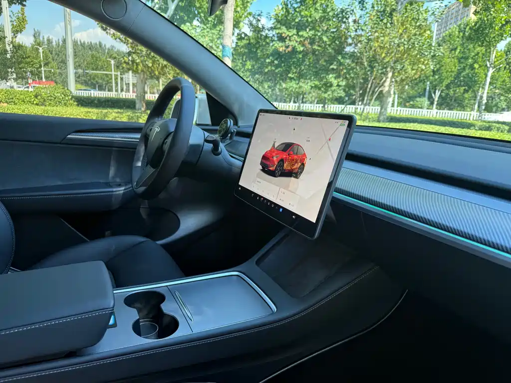 Tesla Model Y — миниатюра 11
