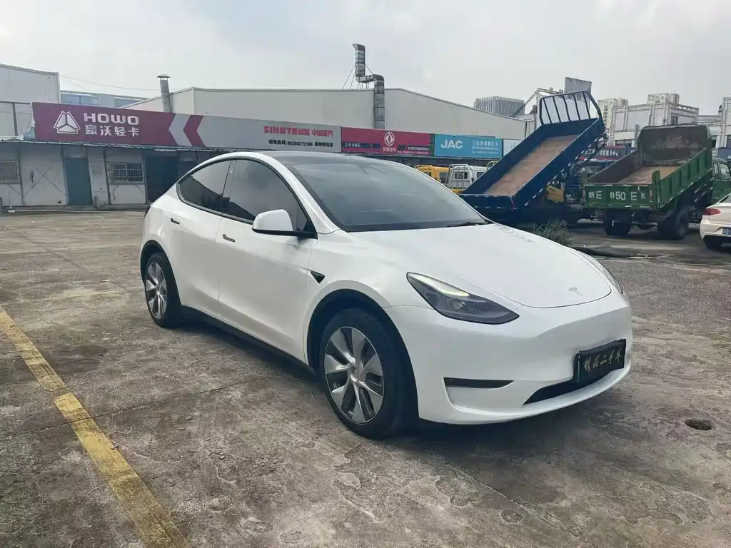 Tesla Model Y — миниатюра 3