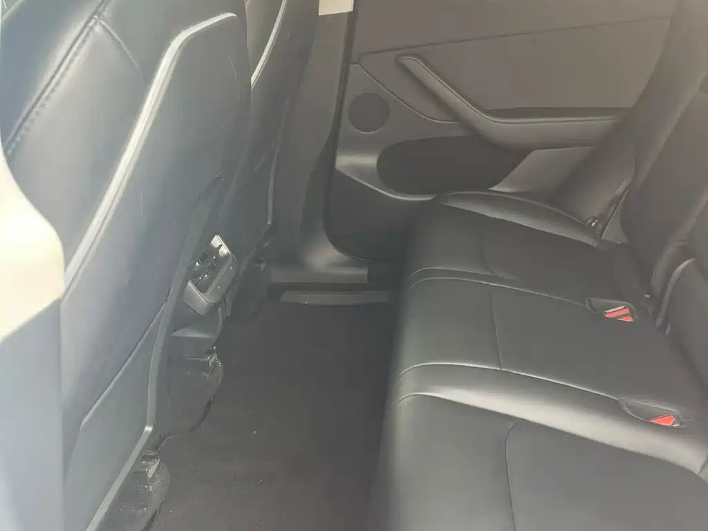Tesla Model Y — миниатюра 6