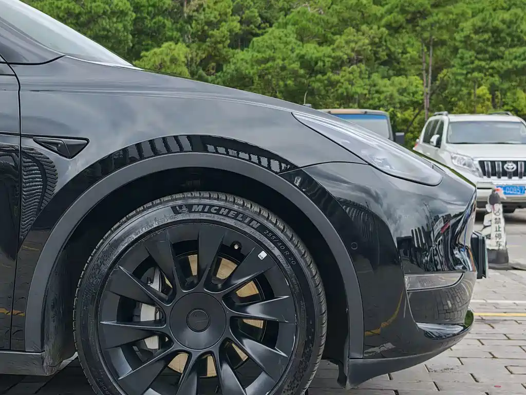 Tesla Model Y — миниатюра 7