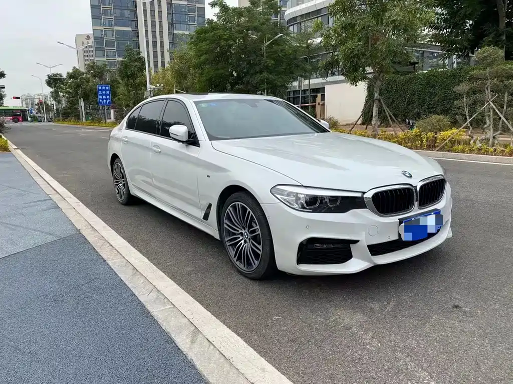 BMW 5 Series — миниатюра 3