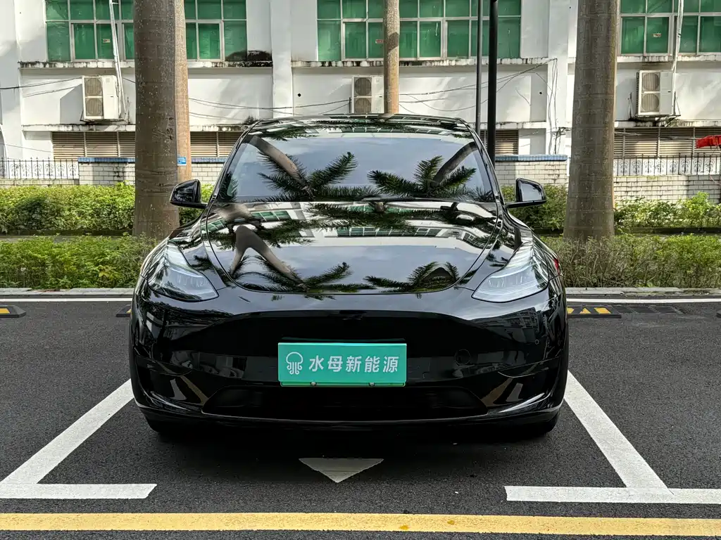 Tesla Model Y — миниатюра 2