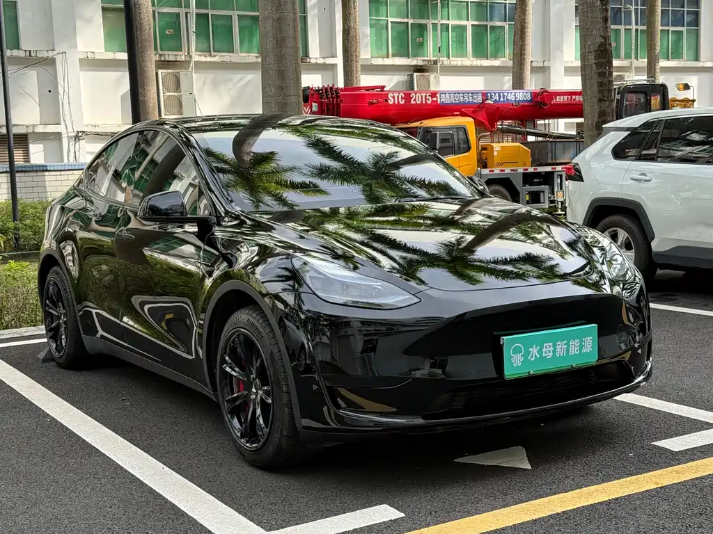 Tesla Model Y — миниатюра 3