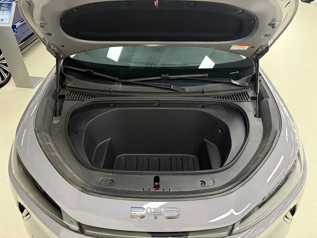 BYD 05 EV 2025 520KM Flagship