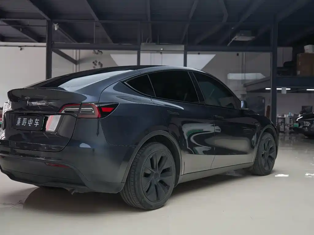Tesla Model Y — миниатюра 6