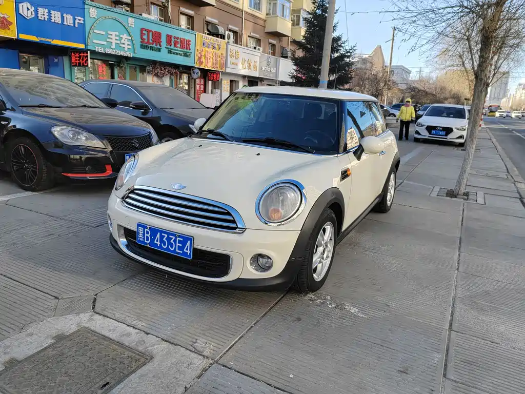 Mini Mini 2013