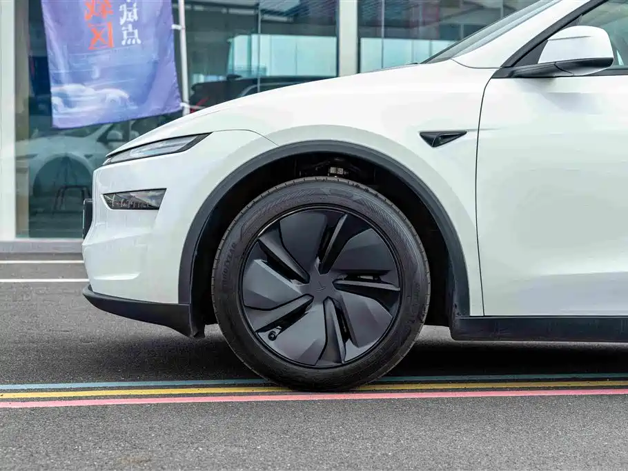 Tesla Model Y — миниатюра 4