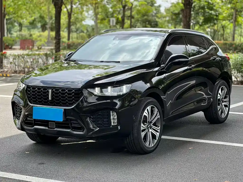 2018 Wey VV5 - zdjęcie 1 z 9