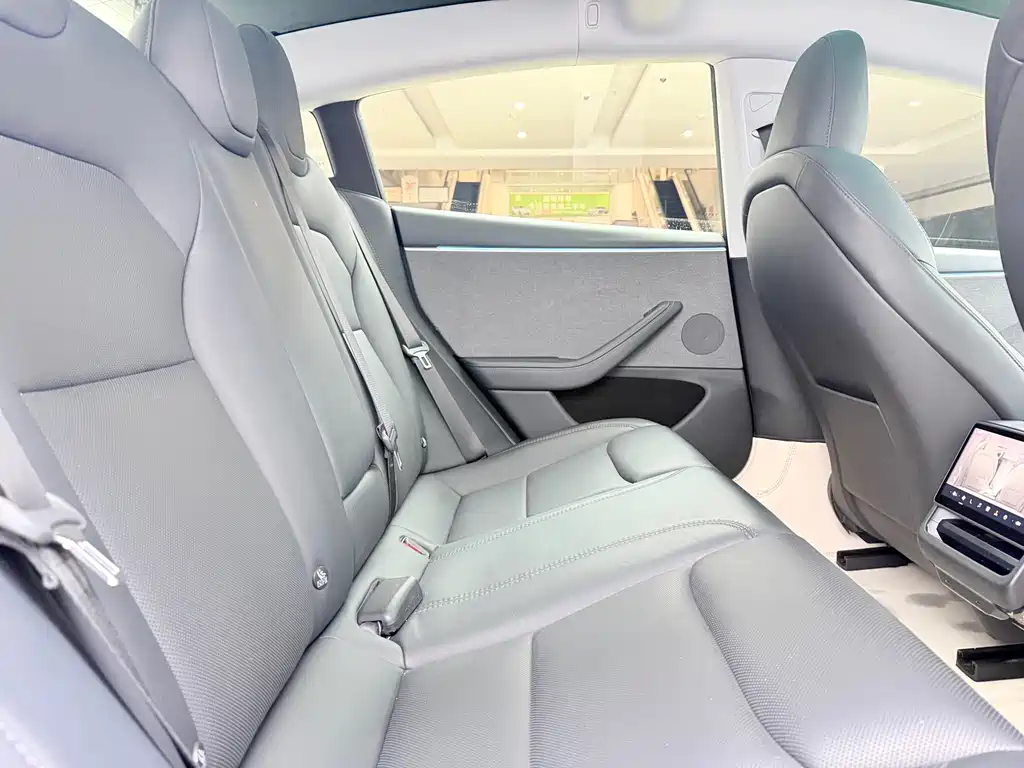 Tesla Model 3 — миниатюра 9