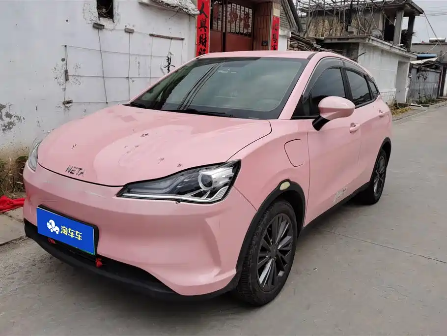 Neta Neta V 2021