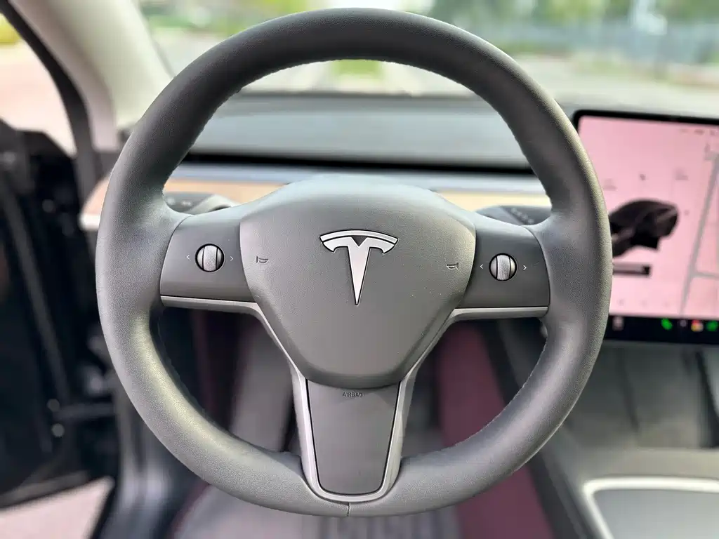 Tesla Model Y — миниатюра 9
