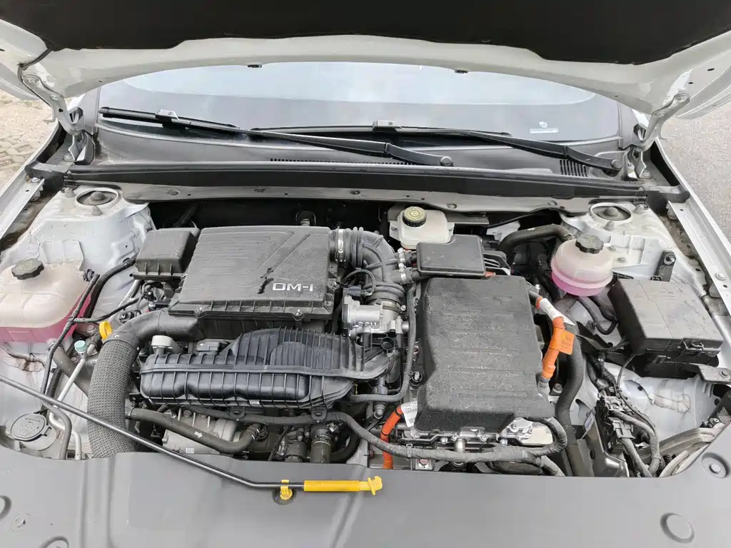BYD Qin Plus PLUS 2024 DM-i 55KM Lead