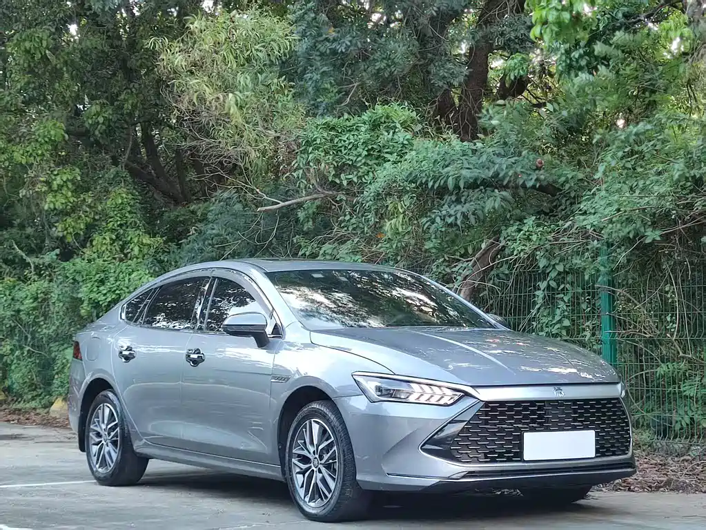 BYD Qin Plus PLUS 2023 Champion DM-i 120KM Lead
